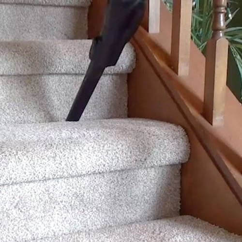 b992d741bc2aa3c3689fdf17d3270c93_1665559440_114.jpeg b992d741bc2aa3c3689fdf17d3270c93_1665559440_114.jpeg