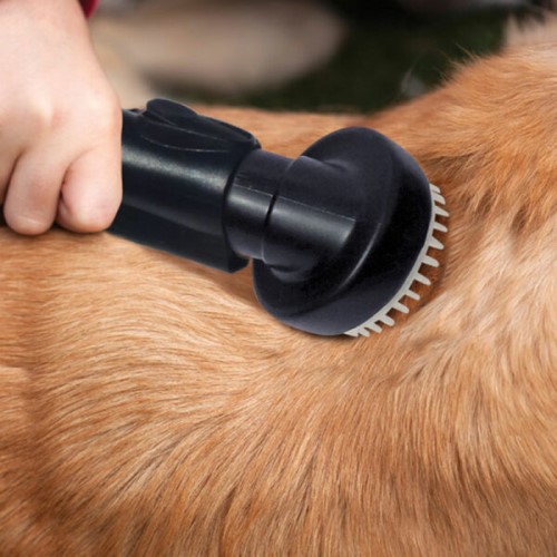 b992d741bc2aa3c3689fdf17d3270c93_1665562141_4859.jpg b992d741bc2aa3c3689fdf17d3270c93_1665562141_4859.jpg